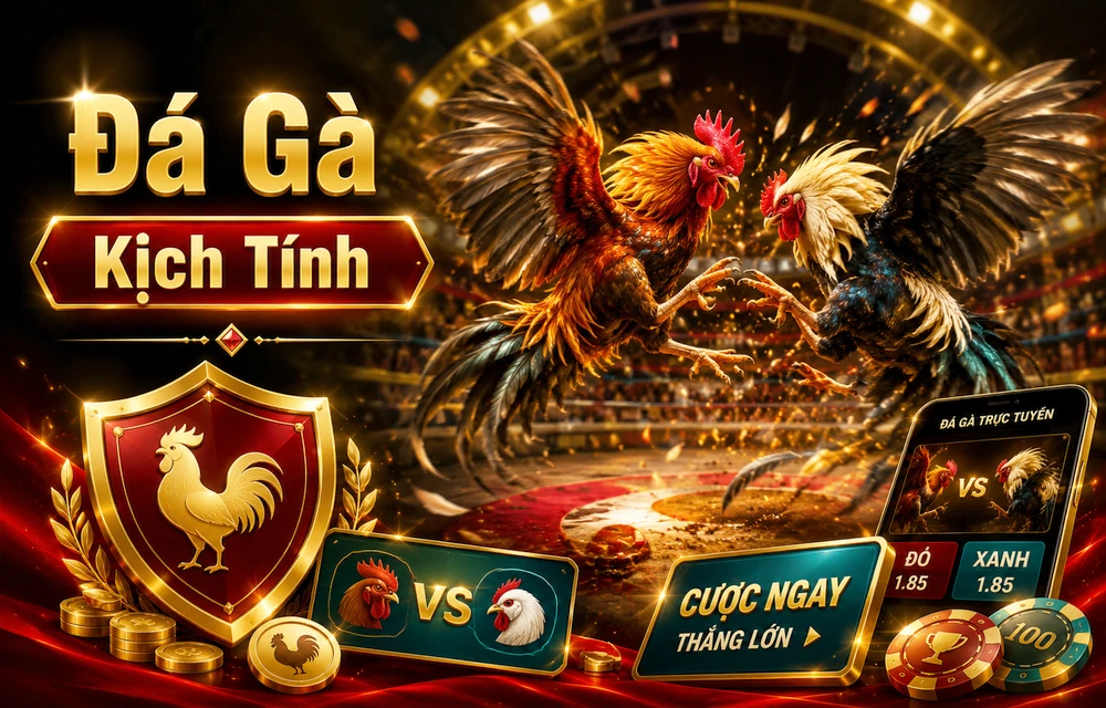 Đá Gà IB88 — hình minh họa từ kho hình ảnh riêng